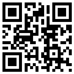the qr code